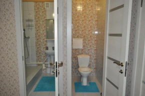 Guesthouse on Repina 4